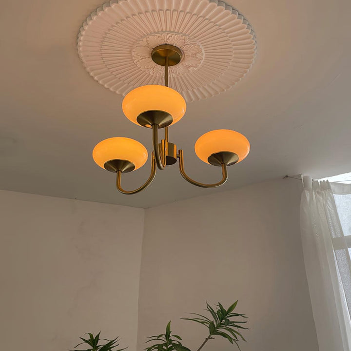 Moderní korunní lustr | Luxusní a elegantní design